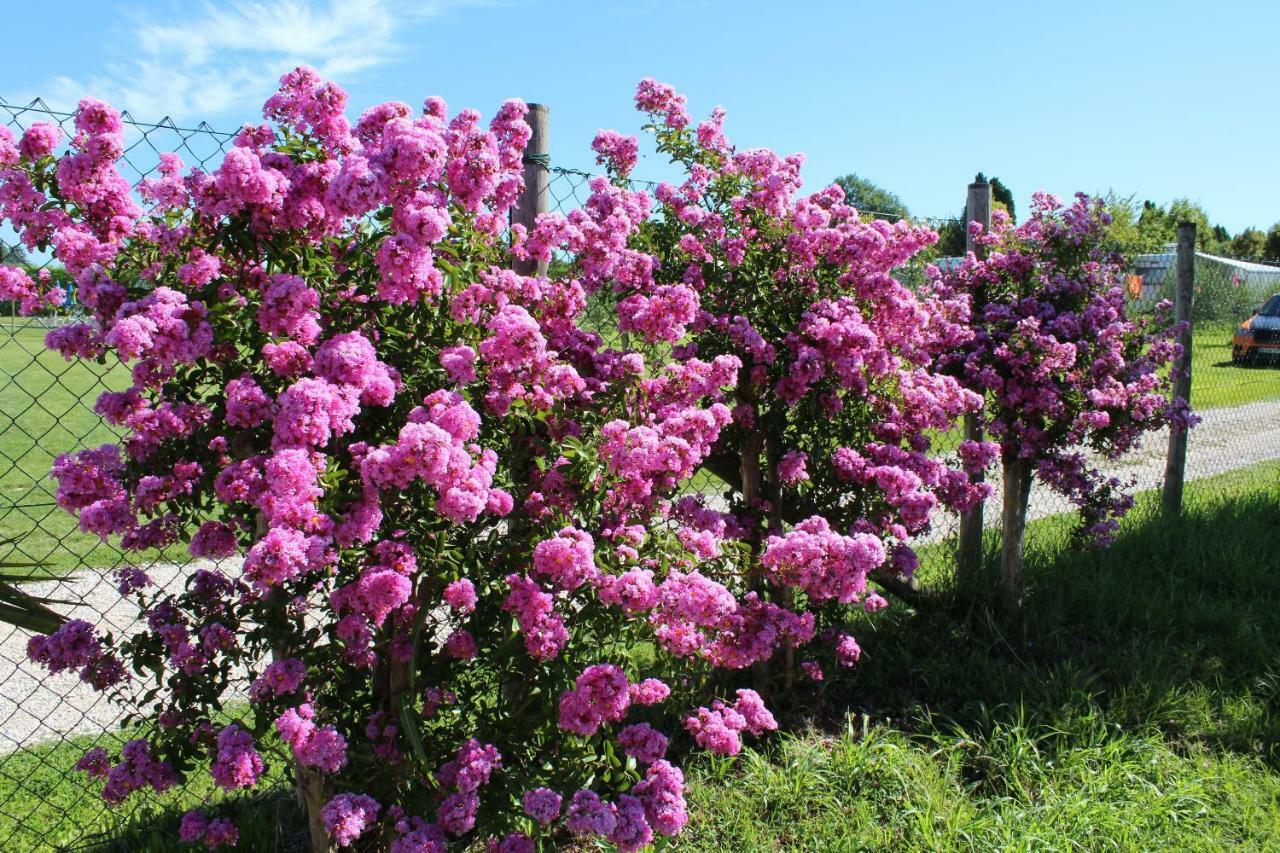Agriturismo Al-Bor ลาซีเซ ภายนอก รูปภาพ