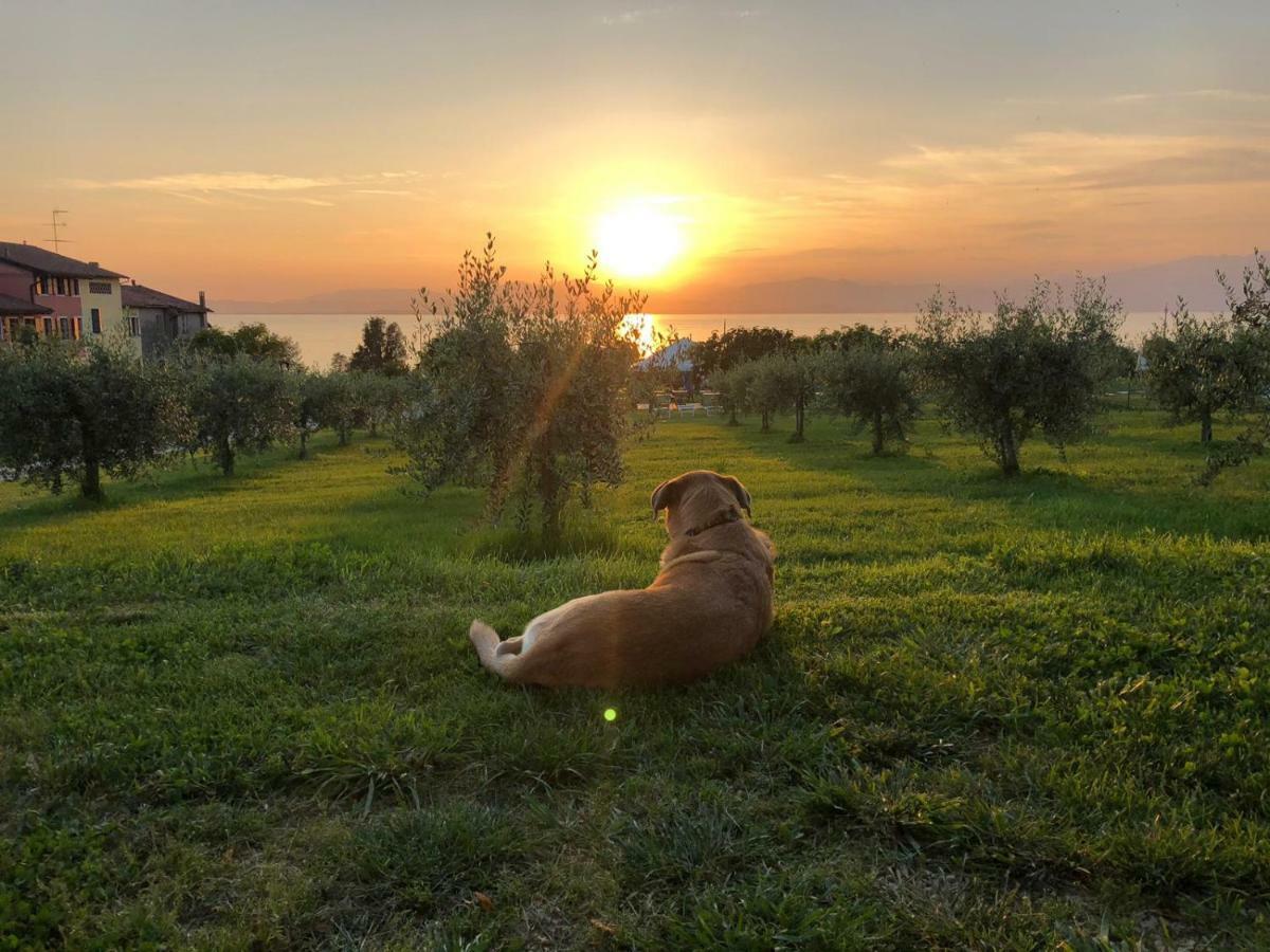 Agriturismo Al-Bor ลาซีเซ ภายนอก รูปภาพ